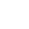 Leckrone Plumbers